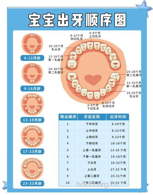 宝宝长牙时间及顺序（图）