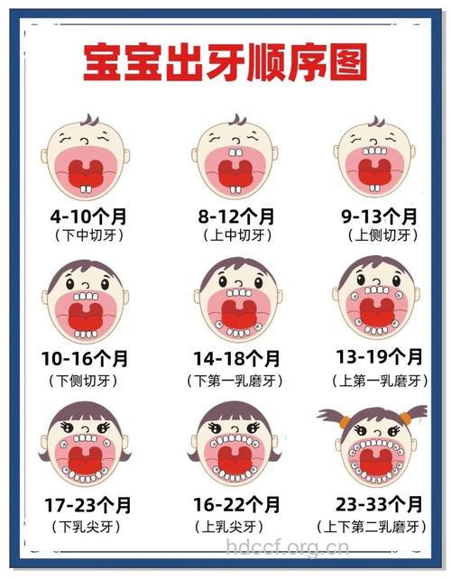 宝宝什么时候开始长牙