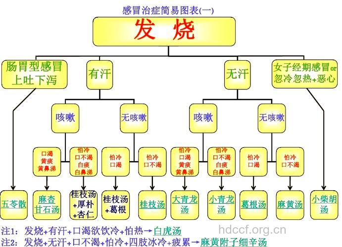 各国有哪些不同治疗感冒方法