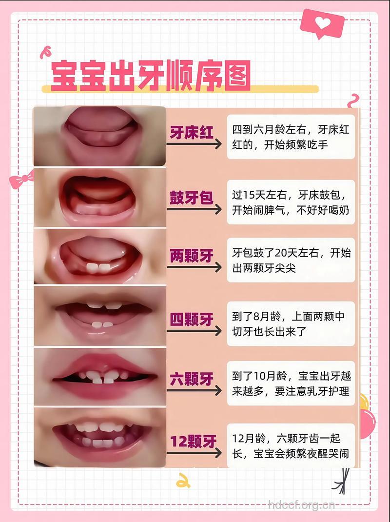 怎么让宝宝的牙齿比别人好看