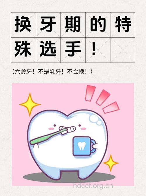 不要把六龄牙当作奶牙