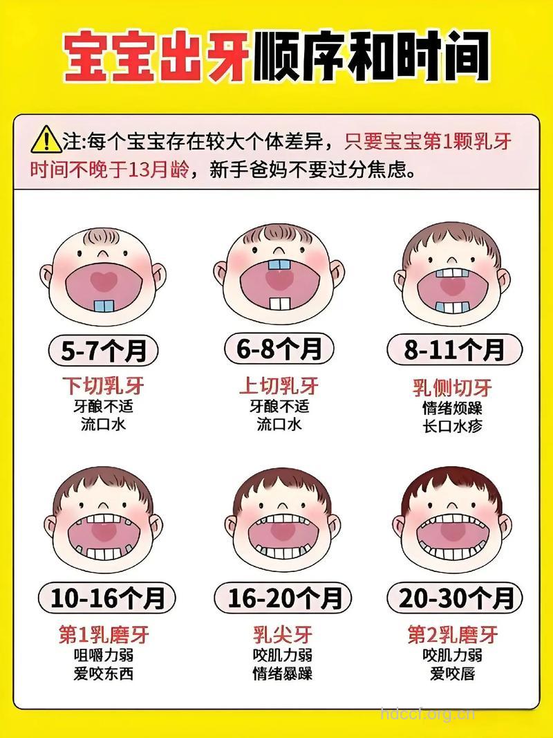 怎么让宝宝长一副好牙