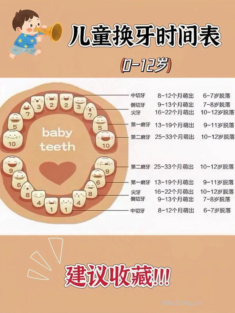 儿童乳牙掉了需注意什么