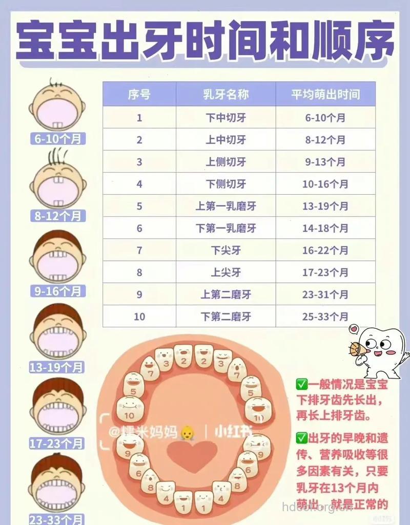 宝宝应该什么时候开始刷牙