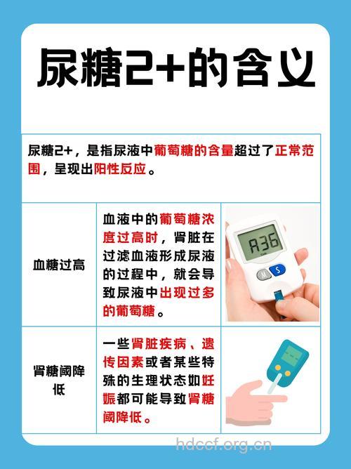 如何用尿糖推测血糖水平