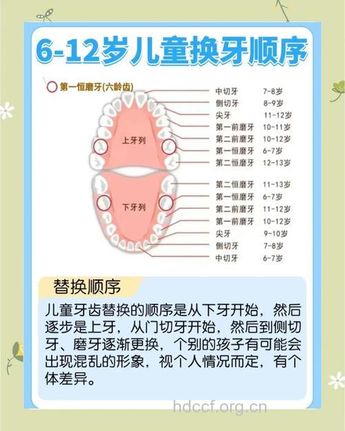 宝宝换牙有哪些保健方法