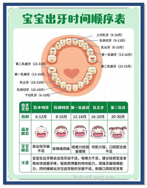 宝宝长牙有哪些护理方法