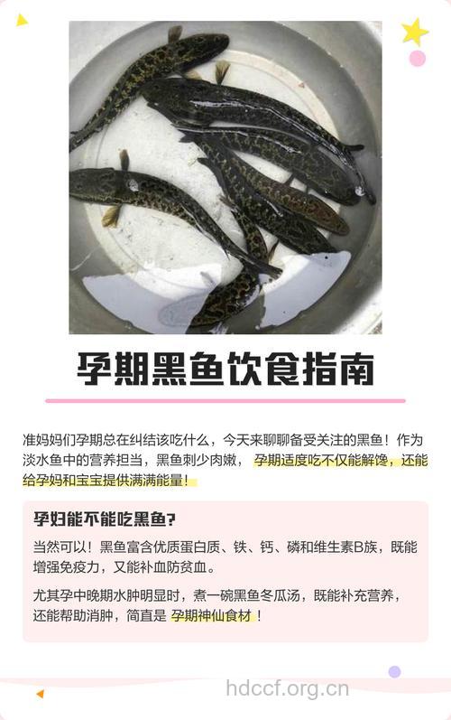 孕妇吃什么|孕妇能吃乌鳢吗