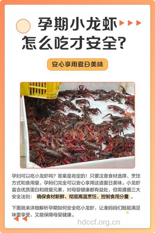 孕妇吃什么|孕妇能吃小龙虾吗