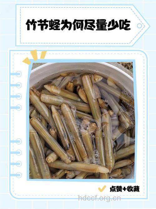 孕妇吃什么|孕妇能吃蛏子吗