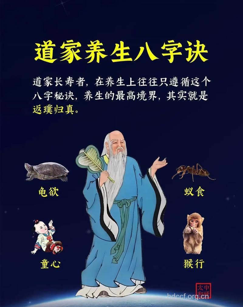 儒道思想怎么看中医养生文化
