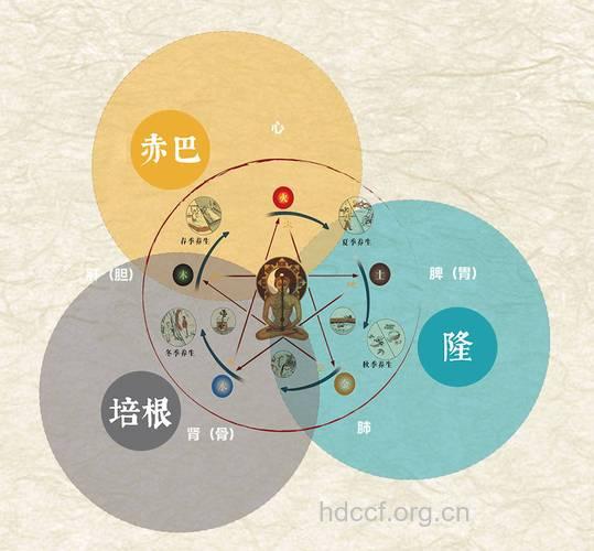 “三理”养生说是什么