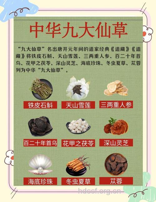 中医有哪些“仙草”呢