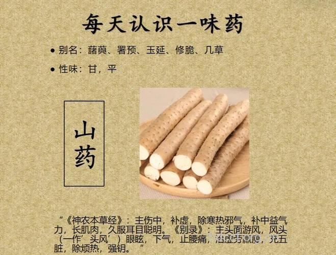 山药：既是佳蔬又是中药材