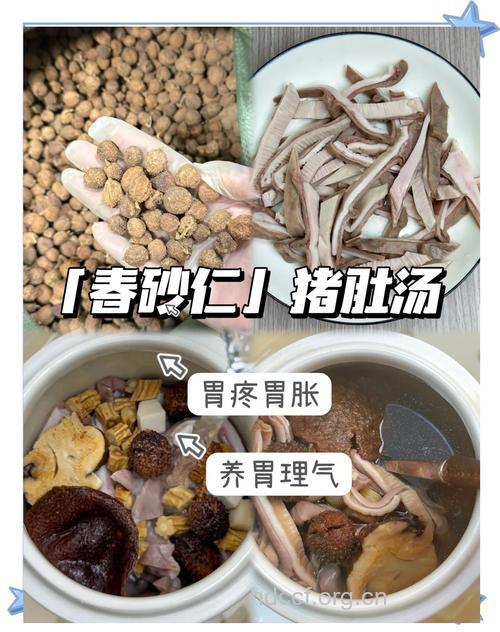 春季哪些食谱可以缓解肠胃不适