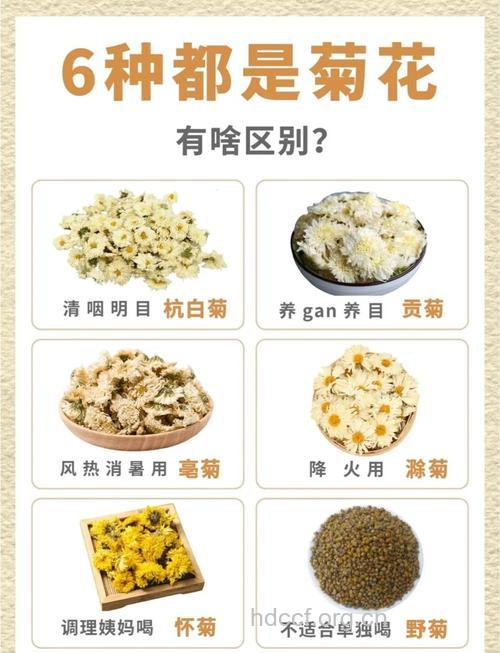 菊花有哪些养生方法