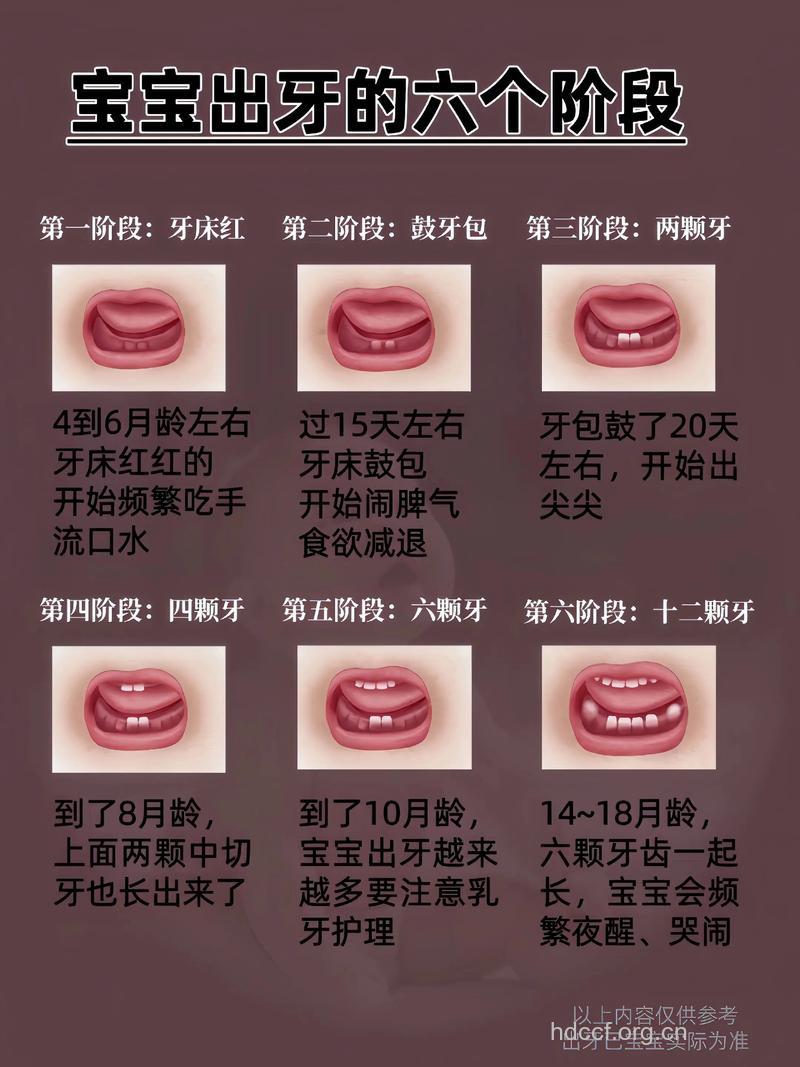 宝宝怎么样才能拥有好牙齿