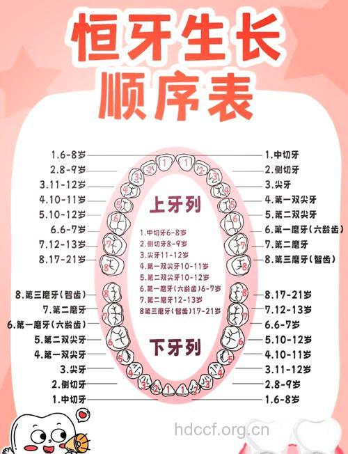 儿童牙齿健康发育指南