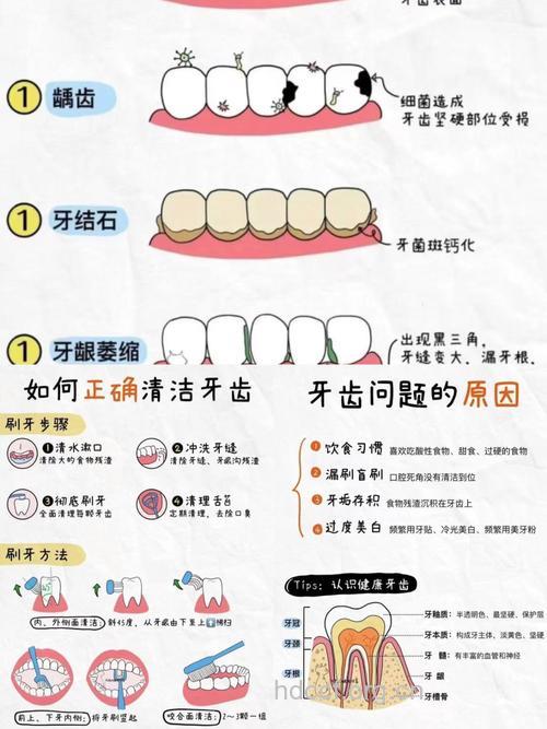 六个方法让你拥有漂亮健康的牙齿