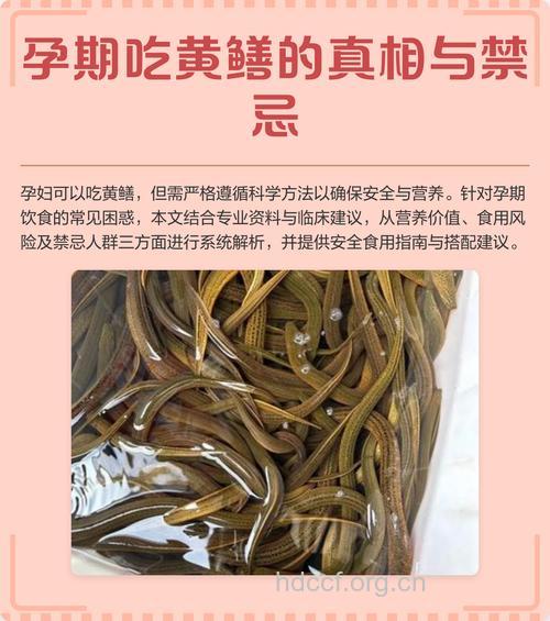 孕妇吃什么|孕妇能吃鳝鱼吗