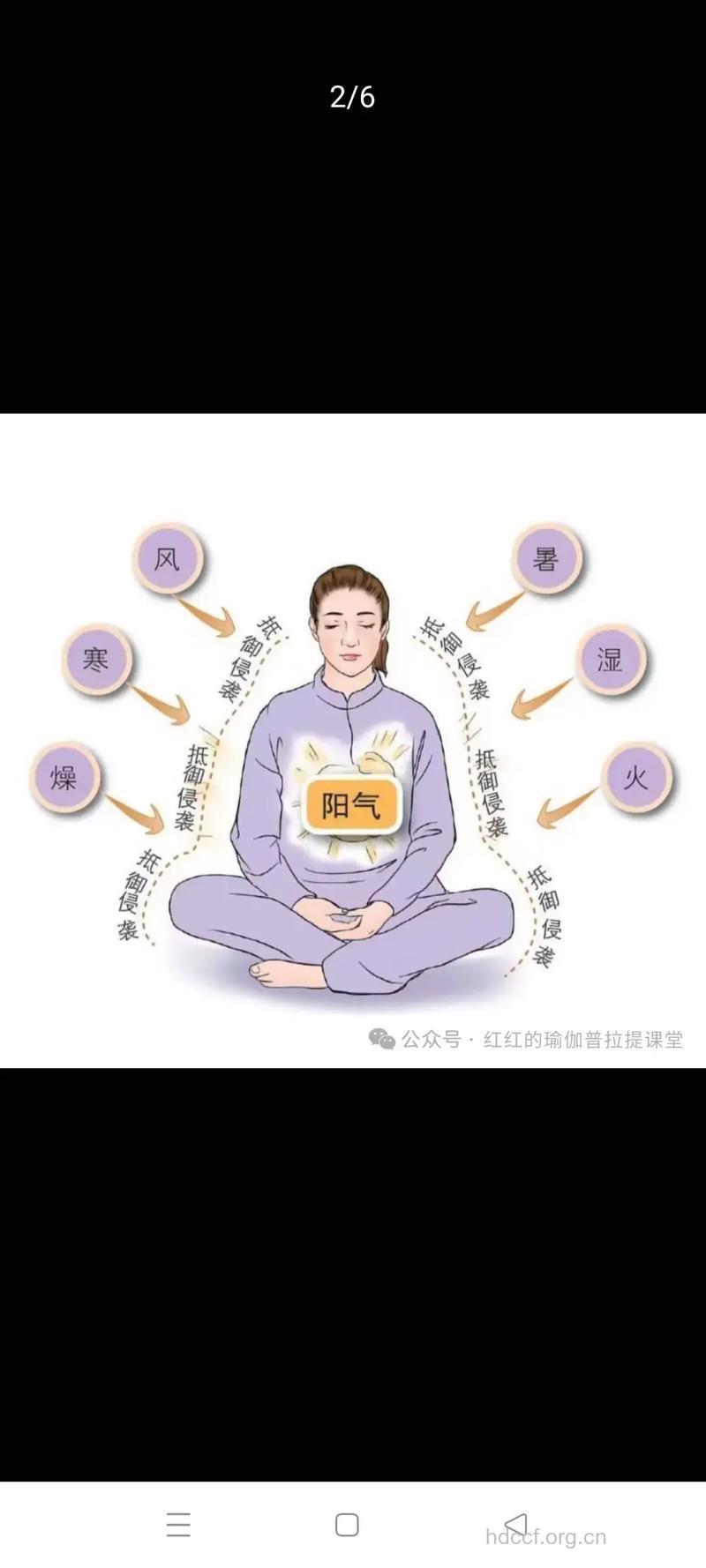 哪些方面有损老人阳气