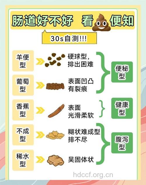 粪菌对预防肠道疾病有哪些好处
