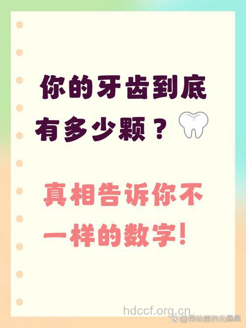 请热爱你仅有的32颗牙齿