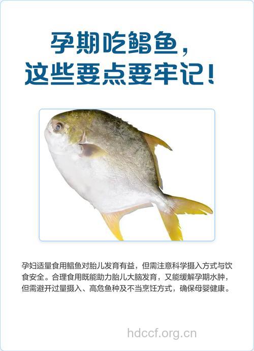 孕妇吃什么|孕妇能吃鲳鱼吗