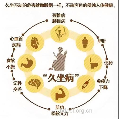男人久坐有什么危害