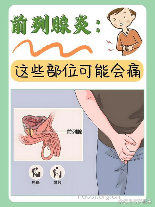 过度憋尿憋出前列腺炎