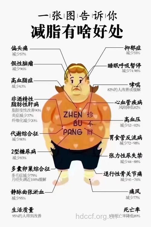 男人肥胖会导致哪些疾病