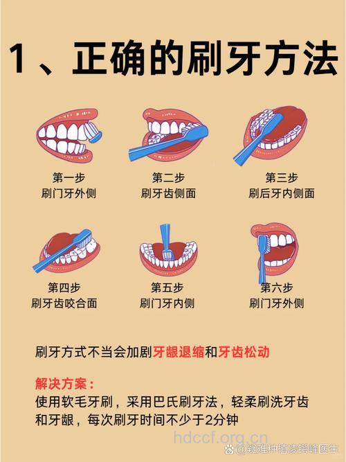 老人牙齿保健有哪些关键点