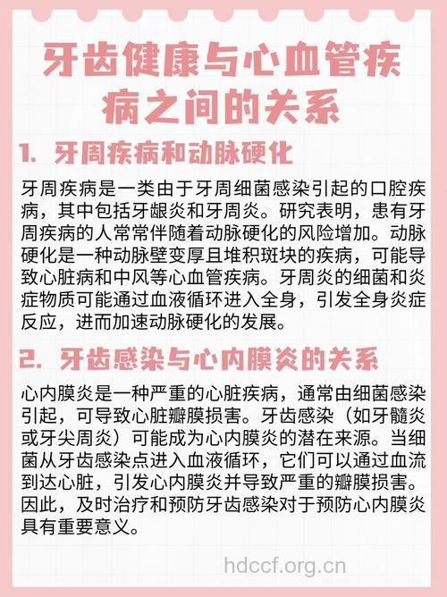 牙病与心血管疾病有何关联