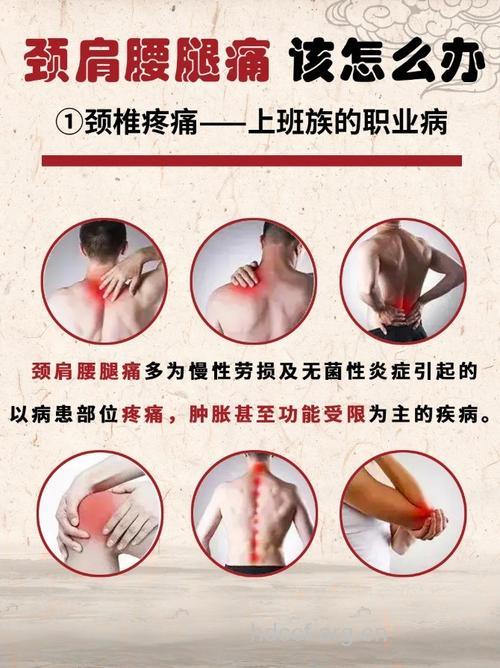 白领族应该如何自我调理