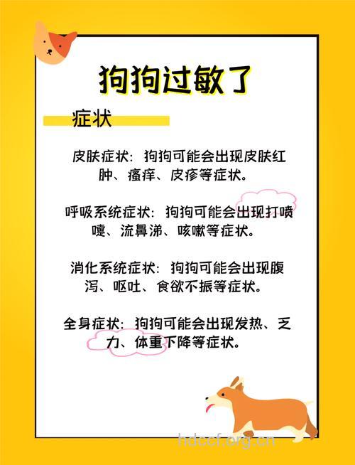 对宠物过敏怎么办 宠物过敏的真正原因