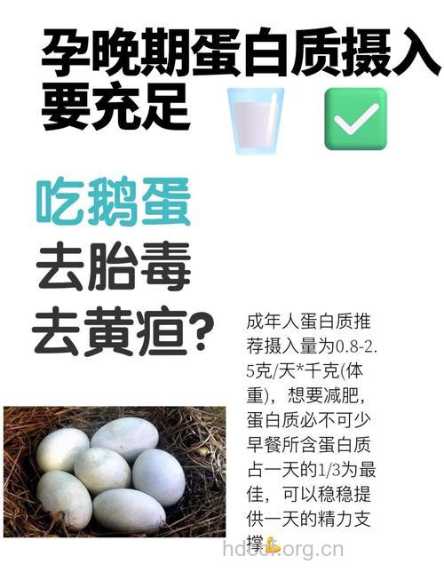 孕妇吃什么|孕妇能吃鹅吗