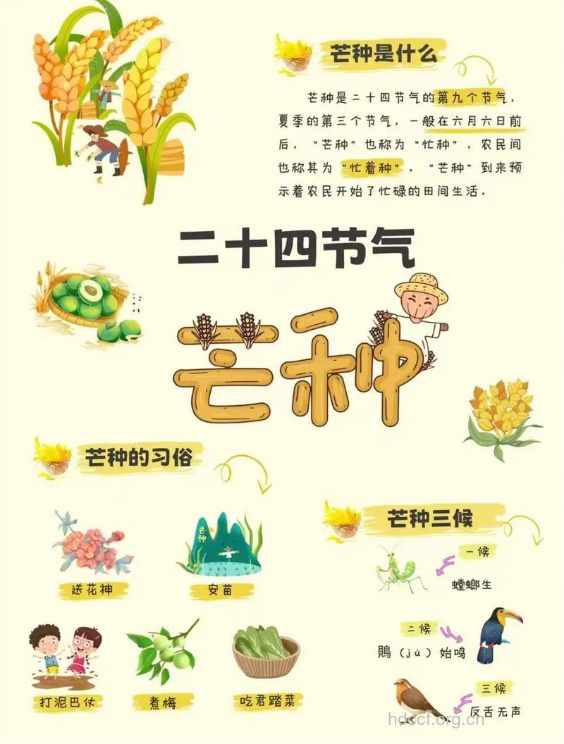 24节气芒种的气候特点
