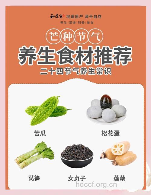 24节气芒种养生药膳大全
