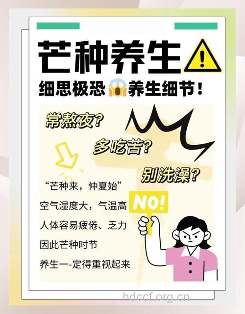 24节气芒种养生如何滋补