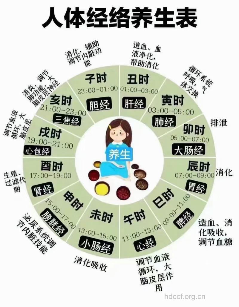 调理五脏的最佳时间