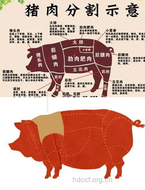 千万不要吃肉的这些部位