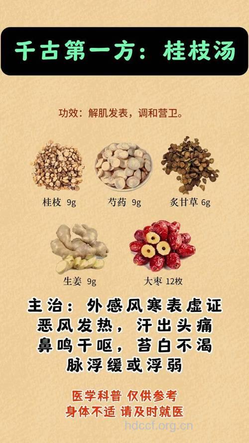 桂枝汤治疗荨麻疹须知