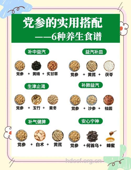 哪些中药材有助于养生