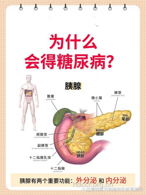 糖尿病为什么会宅出来