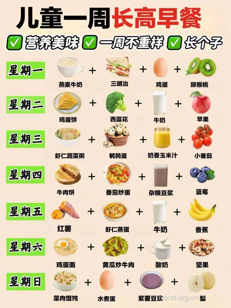 每天吃哪些食物比较好