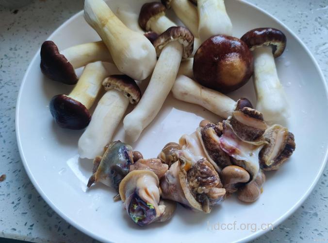 芒种有哪些养生药浴