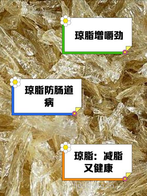 孕妇吃什么|孕妇能吃琼脂吗