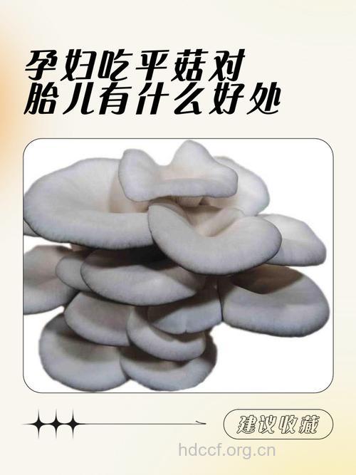 孕妇吃什么|孕妇能吃蘑菇吗