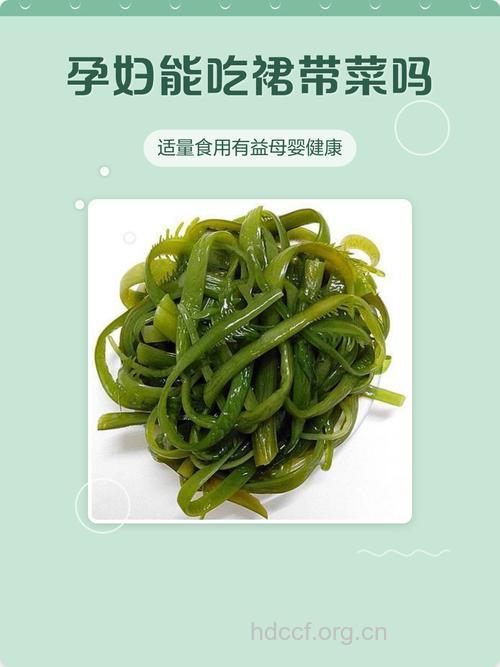 孕妇吃什么|孕妇能吃裙带菜吗