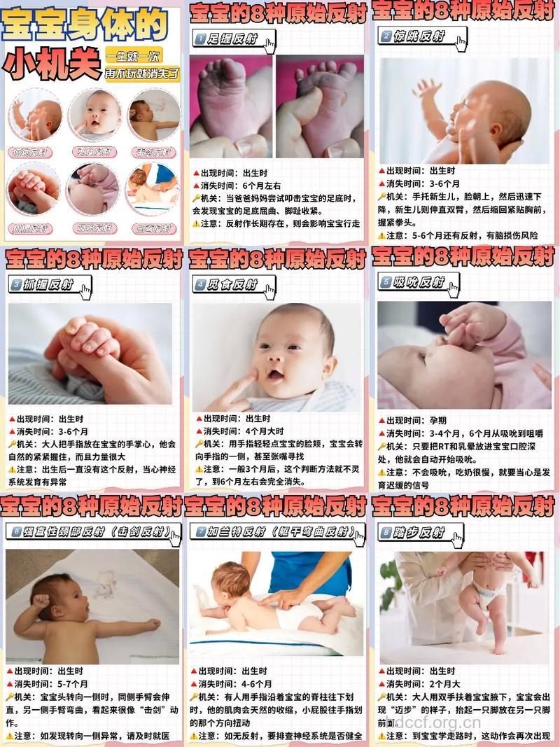 一出生的宝宝有哪些本能反应